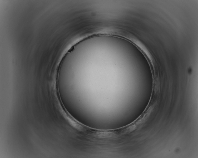 X0000102351437200808081144