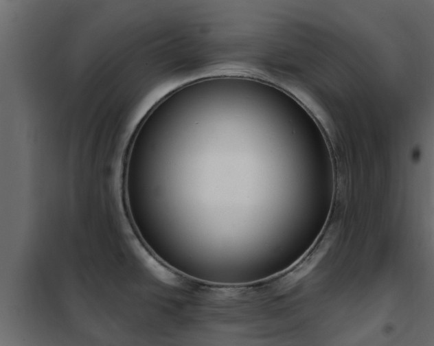 X0000102351438200808081144