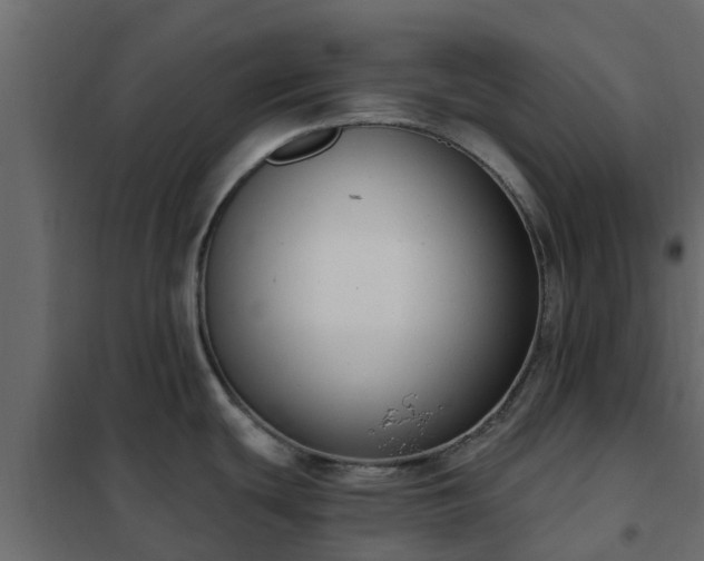 X0000102351439200808081144