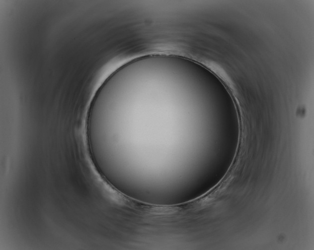 X0000102351440200808081144