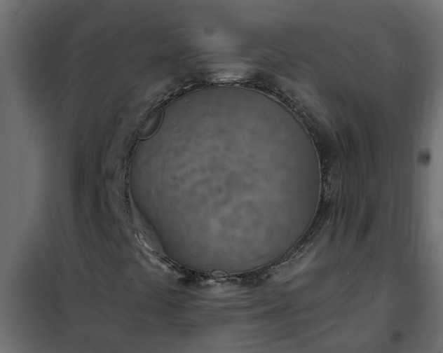 X0000102351441200808081143