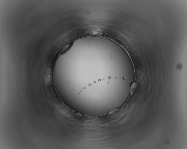 X0000102351442200808081143