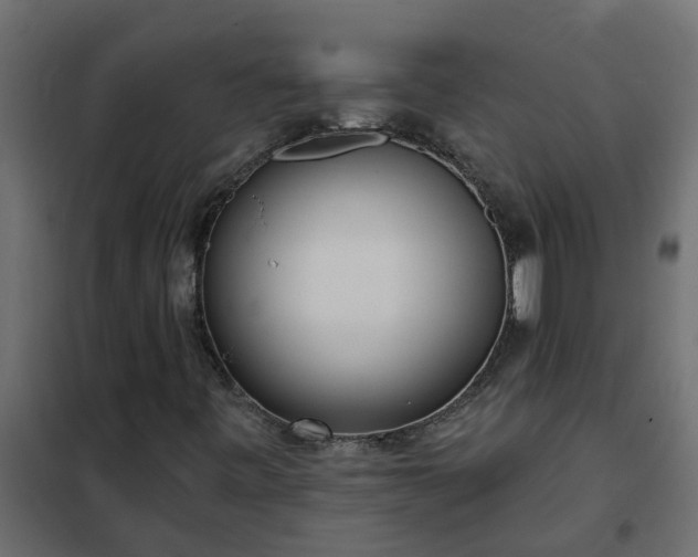 X0000102351443200808081143