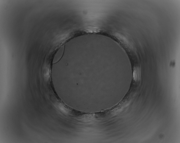 X0000102351444200808081143