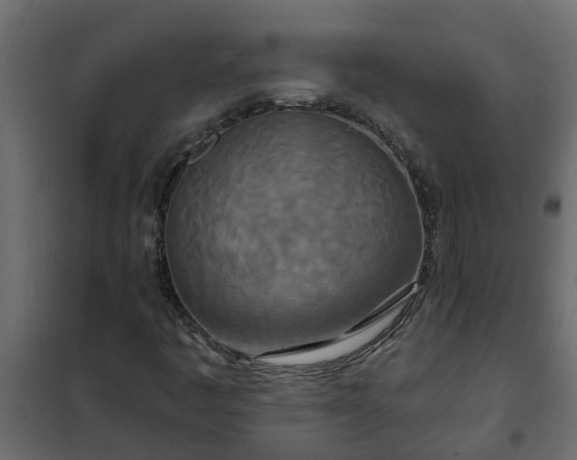 X0000102351445200808081143