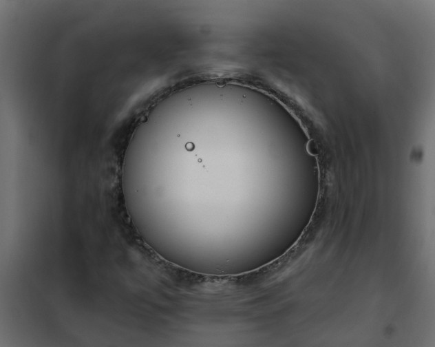 X0000102351447200808081143