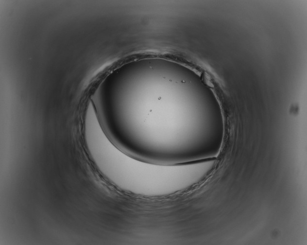 X0000102351448200808081143