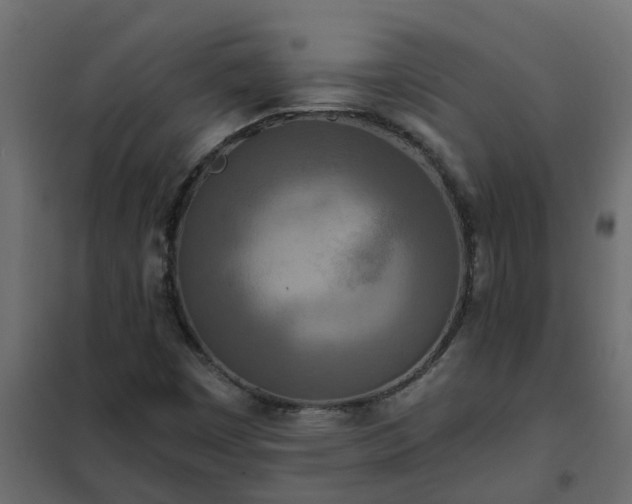 X0000102351449200808081143