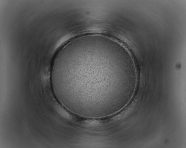 X0000102351450200808081143