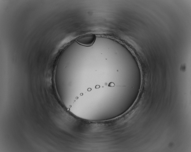 X0000102351451200808081143