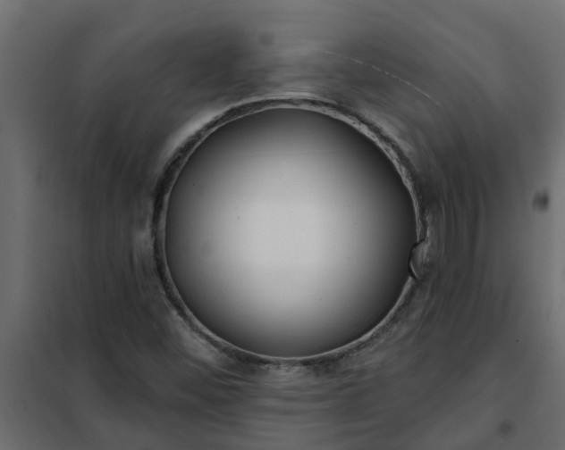 X0000102351452200808081143