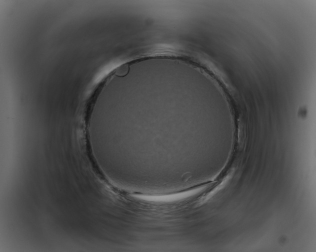 X0000102351453200808081143