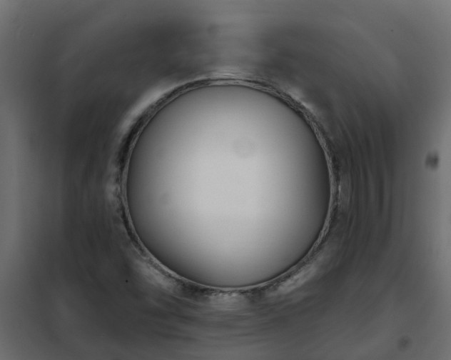 X0000102351454200808081143