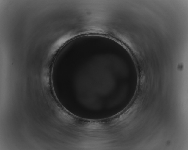 X0000102351455200808081143