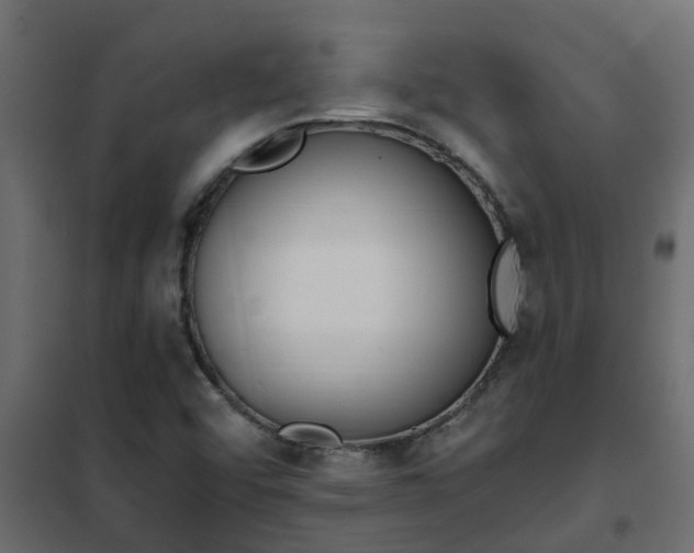 X0000102351456200808081143