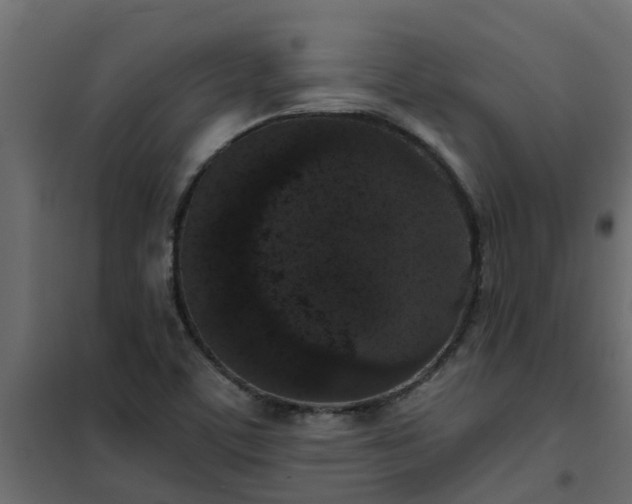 X0000102351459200808081143