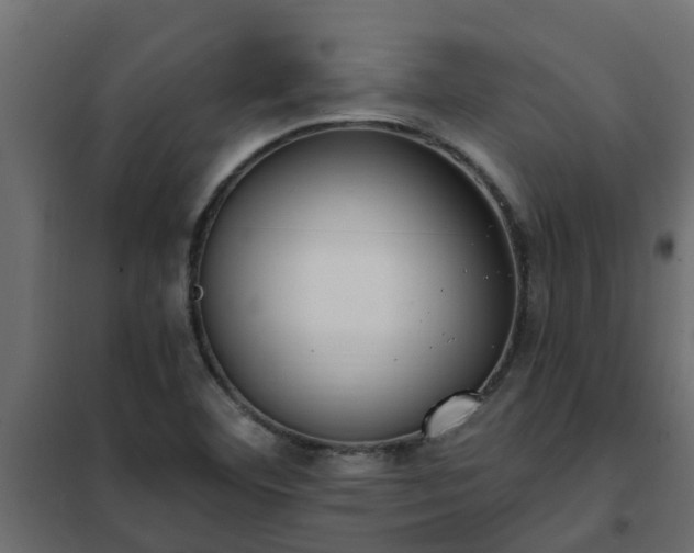 X0000102351460200808081143