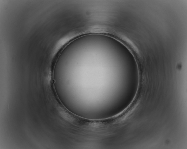 X0000102351461200808081143