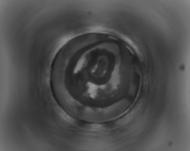 X0000102351463200808081143