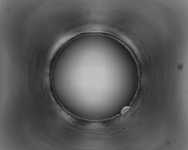 X0000102351464200808081143