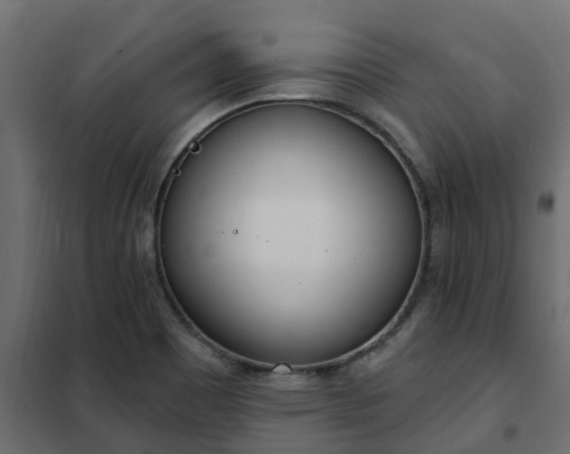 X0000102351465200808081143