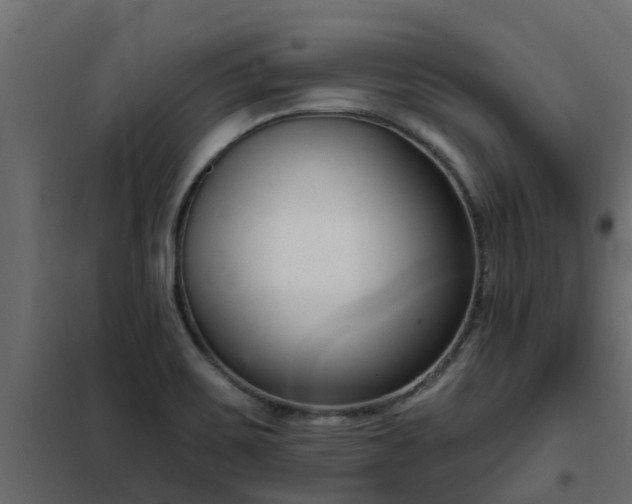 X0000102351467200808081143