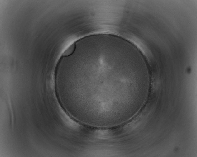 X0000102351468200808081143