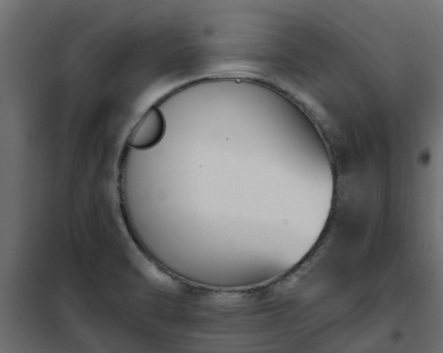 X0000102351470200808081143