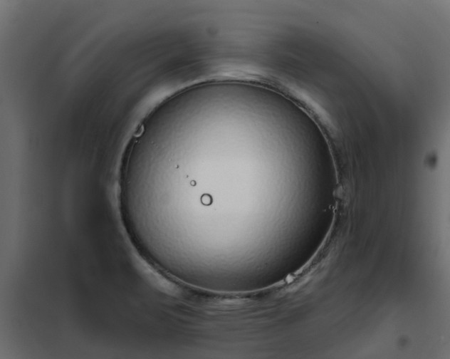 X0000102351471200808081143