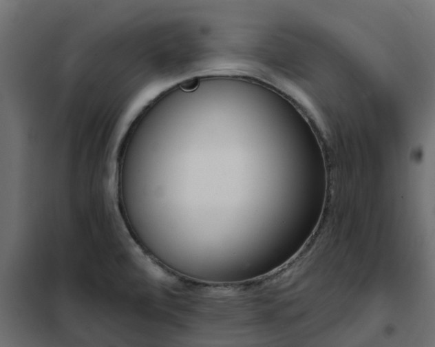 X0000102351472200808081143