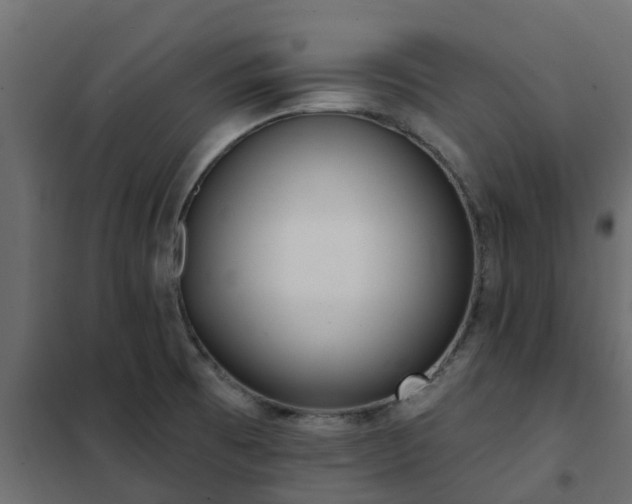 X0000102351473200808081143