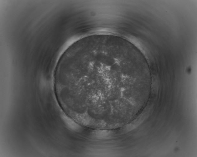 X0000102351474200808081143