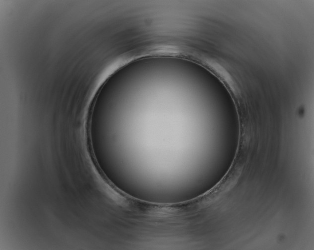 X0000102351475200808081143