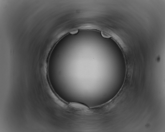 X0000102351476200808081143