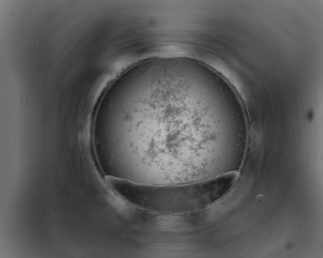 X0000102351477200808081143