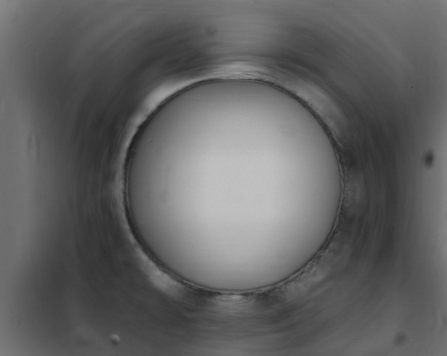 X0000102351478200808081143