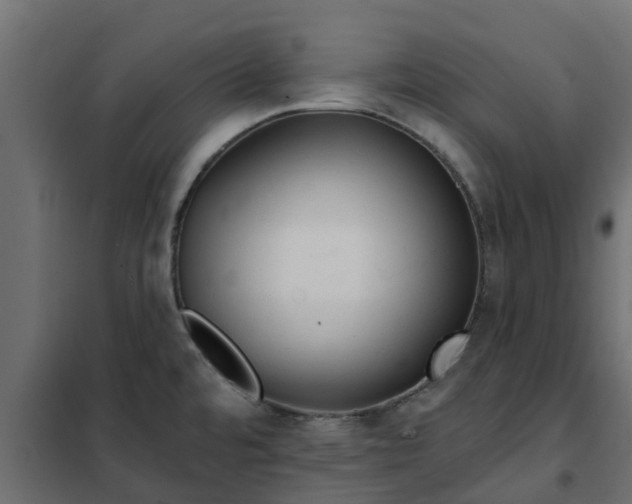 X0000102351480200808081143