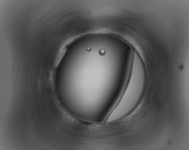 X0000102351481200808081143