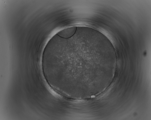 X0000102351482200808081143