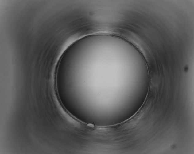 X0000102351483200808081143