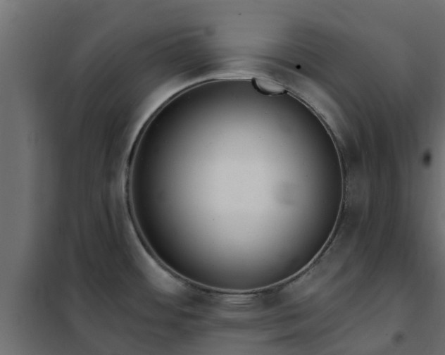 X0000102351484200808081143