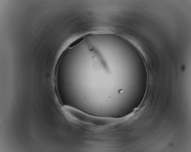 X0000102351485200808081143