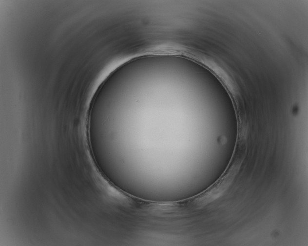 X0000102351486200808081143