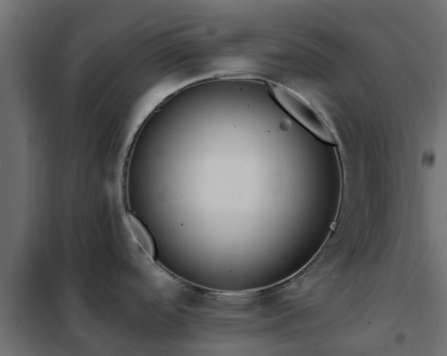 X0000102351488200808081143