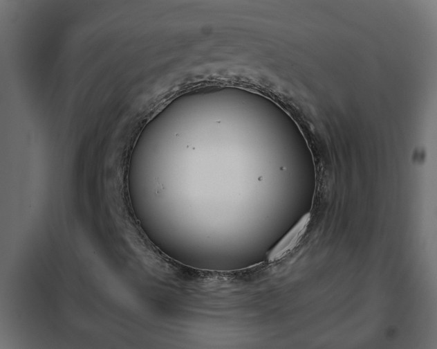 X0000102351489200808081142