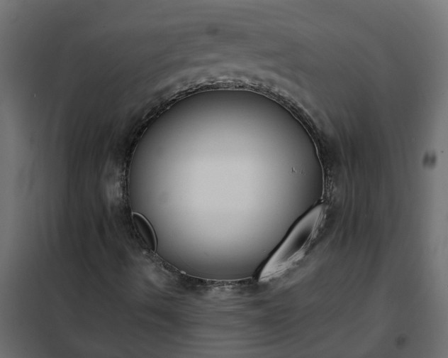 X0000102351490200808081142