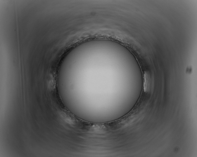 X0000102351491200808081142