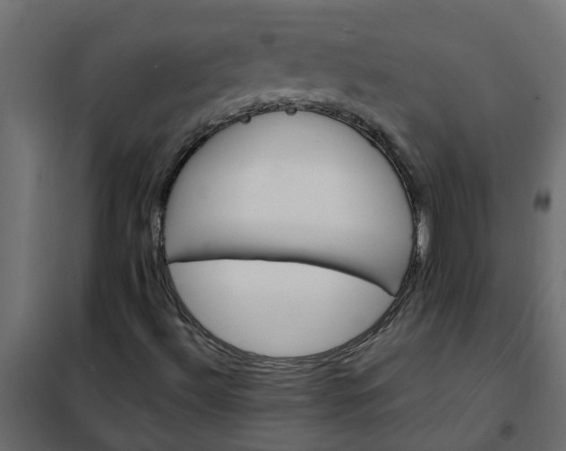 X0000102351492200808081142