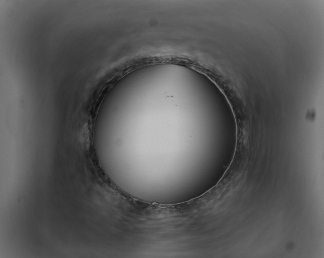 X0000102351493200808081142