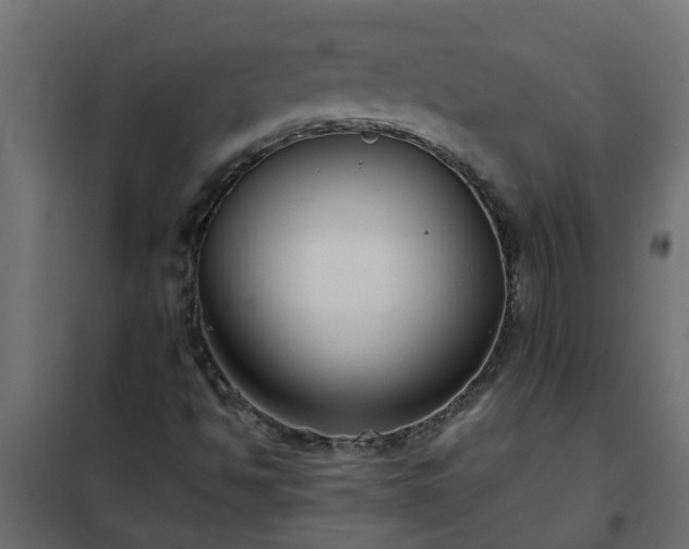 X0000102351494200808081142